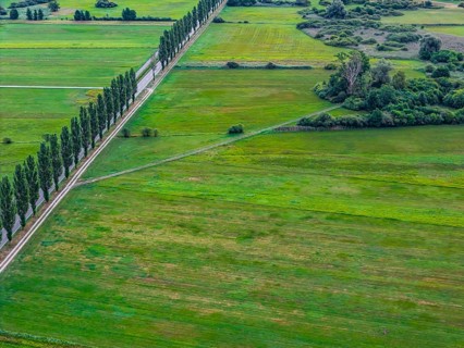 Morning atmosphere Cultural landscape on Lake Constance. Zeller Aachried nature reserve near