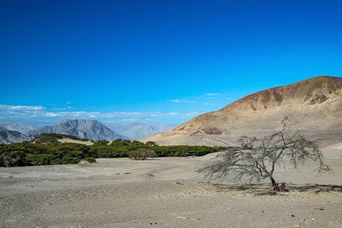 Desert landscape, coastal desert near Chauchilla, Nazca, southern Peru, Peru, South America