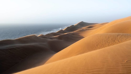 Sand dunes and sea in evening light, impressive desert landscape at sunset, sandy desert, Sandwich