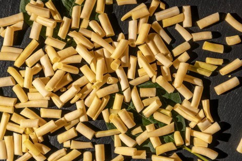 Yellow bean pieces scattered on leaves, illuminated by sunlight