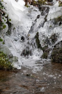 Stream, brook, ice, flowing water, high size, portrait format, ice, landscape, snow, snow, winter