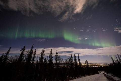 Northern Lights (Aurora borealis) over Gällivare, Norrbotten, Lapland, Sweden, November 2022