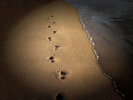 Footprints in sand, sandy beach, barefoot walking at sea, path, symbolic photo, Sylt, North Sea,