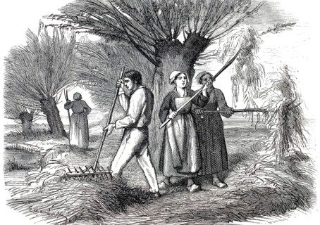 A group of French farmers harvesting hay in 1859. In the foreground, a male farmer can be seen