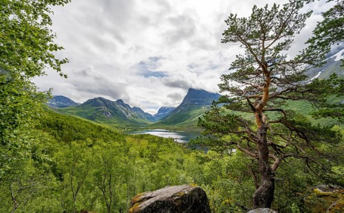 Innerdalen high valley with lake Innerdalsvatna, mountains, right Innerdalstårnet, Trollheimen,