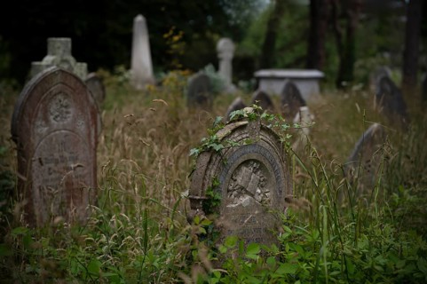 Weathered graves, headstones, ivy, municipal cemetery, Falmouth, Cornwall, England, Great Britain,