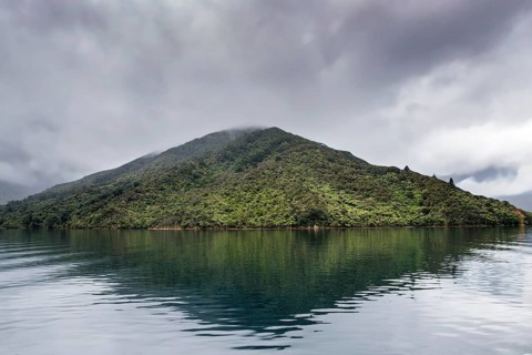 Misty mountain reflected in the calm waters of the Marlborough Sounds, New Zealand
