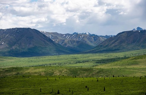 Tundra and mountain landscape with dramatic cloudy sky, Denali National Park, Alaska, USA