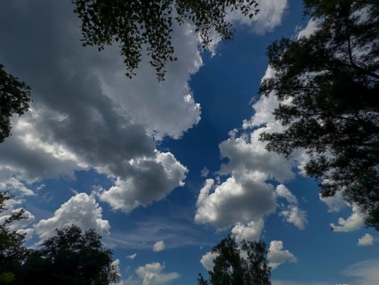 Accumulation of Cumulus cluster clouds, cumulus clouds, fair weather clouds against a blue sky