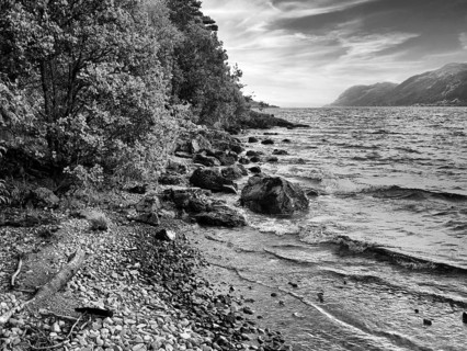 Rocky shore with trees, mountains on the horizon, Loch Ness, monochrome, Great Glen, Scottish