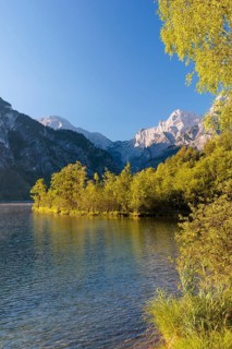The tree-covered floating island in Lake Almsee bathed in the early morning light. Austria