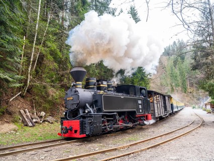 Mocani?a Water Valley Railway Steam Locomotive, Viseu de Sus, Maramure?, Romania