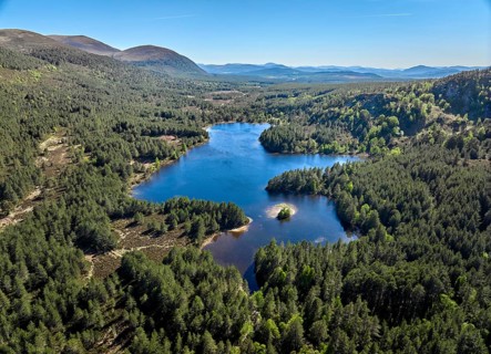 Aerial drone photo of the Mountain and Forest landscape at Loch Eilein in the Cairn Gorm National