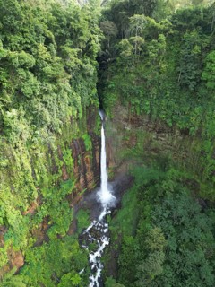 An impressive waterfall plunges into the depths amid thick tropical vegetation, surrounded by lush