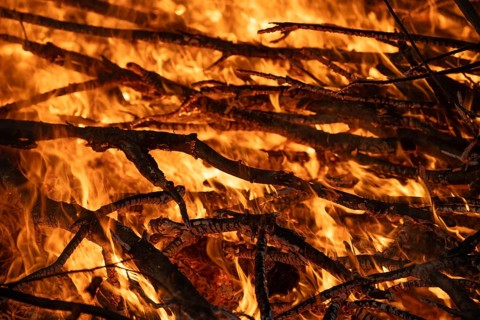 Burning branches with blazing flames and intense embers, Finland