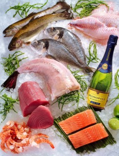 Selection of various raw fish and ctabbas, champagne bottle, on ice, studio recording