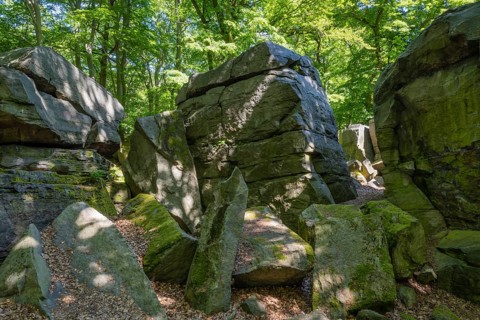 Rocks in green beech forest, Ore Mountains, Czech Republic, May 2024