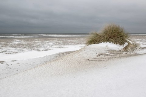 Snow-covered dunes on the North Sea, Langeoog, Lower Saxony, Germany
