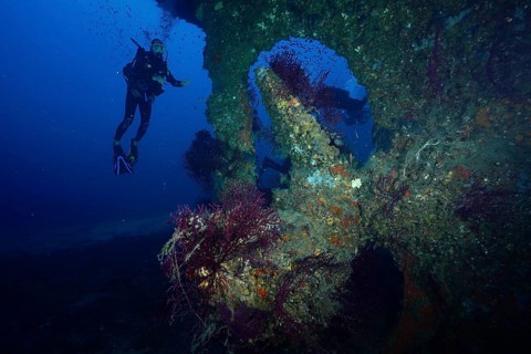 Diver explores a coral-covered underwater wreck, Le Grec wreck dive site, Giens Peninsula, Provence