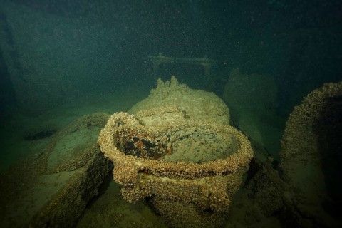 Wreck sections overgrown with quagga zebra mussels (Dreissena rostriformis bugensis), an invasive