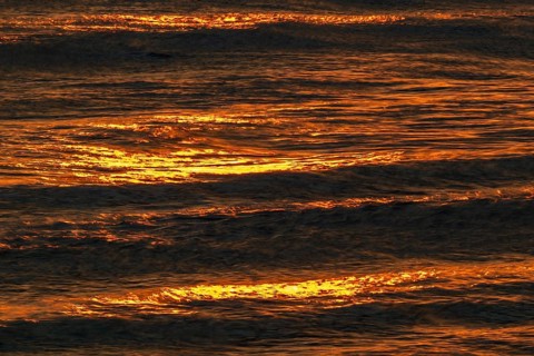 Setting sun colors the sea and small waves golden, Houvig Beach, North Sea, Denmark