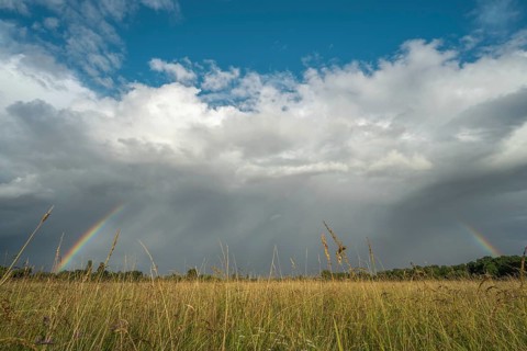 A rainbow appears in the cloudy sky over a field and bears witness to the traces of the recent