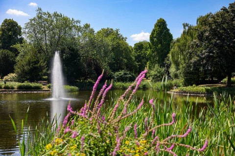 Essen, North Rhine-Westphalia, Germany - City garden with lake and fountain. Stadtgarten Essen is