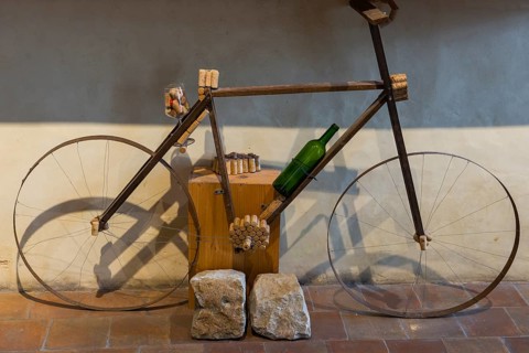 Bicycle decorated with wine theme, France