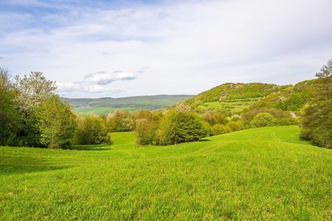 View over the hills with forests and meadows with blooming cherry trees on a sunny day in spring,