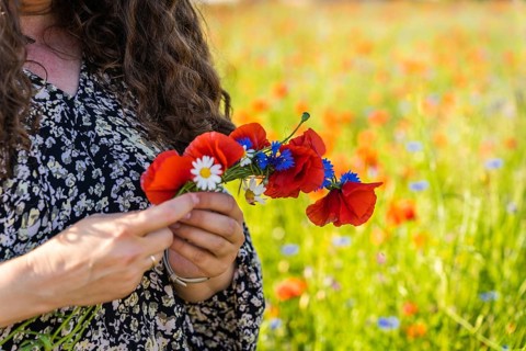 A long-haired curly woman weaves a wreath of wildflowers, poppies (Papaver rhoeas), daisies and