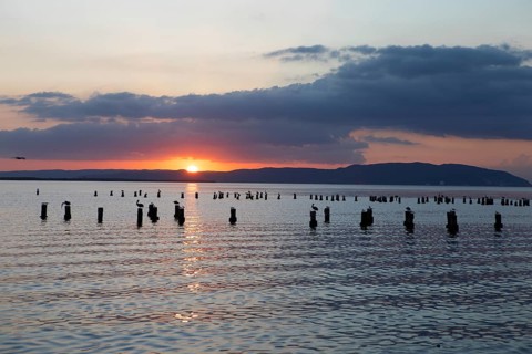 Sunset at the marina in Kingston, birds sitting on wooden bollards as paper cuts, Kingston Parish,