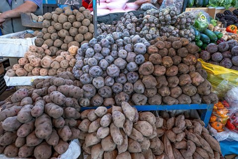 Different types of potatoes at a sales stand in a market hall, Arequipa, southern Peru, Peru, South