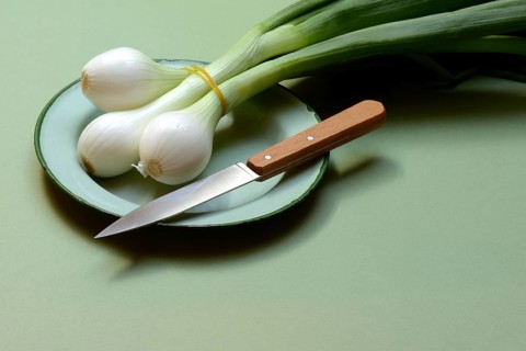 Spring onion with knife on plate, Allium cepa