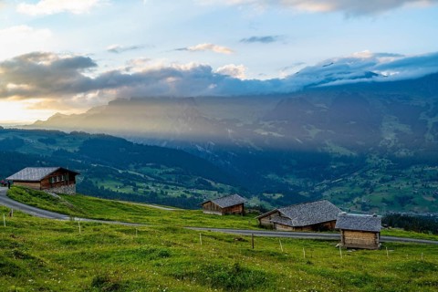 Alpine huts and alpine meadows, mountain landscape at sunset, Alpiglen, Grindelwald, Bernese