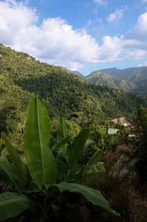 Densely overgrown hills in Blue and John Crow Montains National Park, Portland Parish, Saint Mary