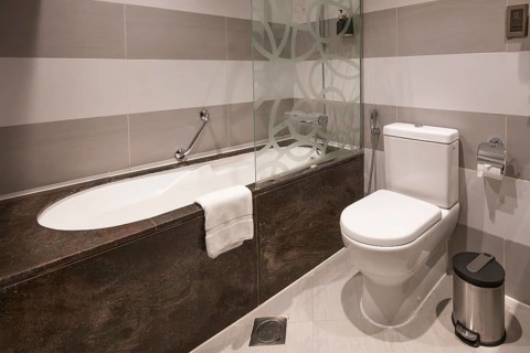 Hotel bathroom bathtub and toilet, Dubai, United Arab Emirates, UAE