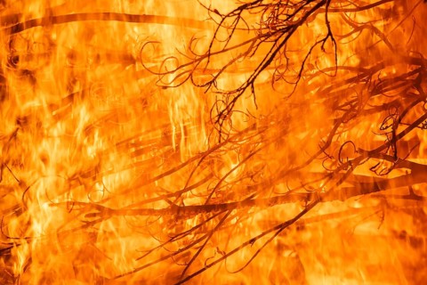 Dense flames burn branches in a strong, intense fire, Finland