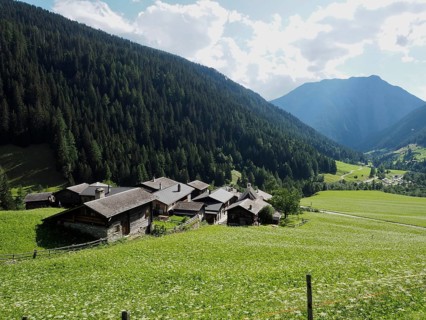 Traditional mountain houses in the village of Fäld, also known as Imfeld, on a green slope with