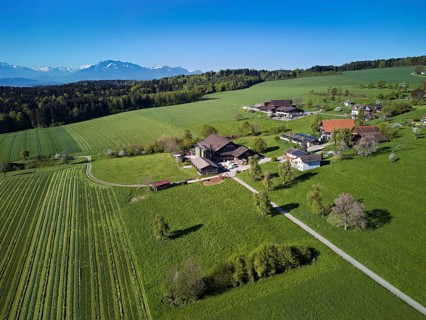 Farms in the hamlet of Holderstock behind the snow-capped Alps and Mount Pilatus, Sins, Freiamt,