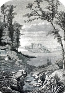 The picture shows the man-made lake Le Lac Inferieur in the Bois de Boulogne, a monumental man-made