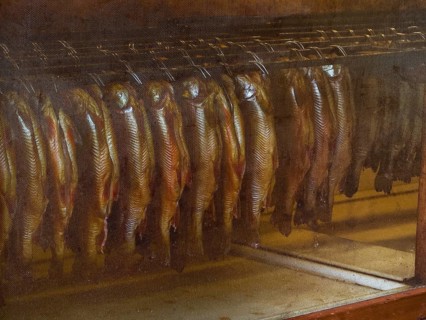 Fish in a smoker