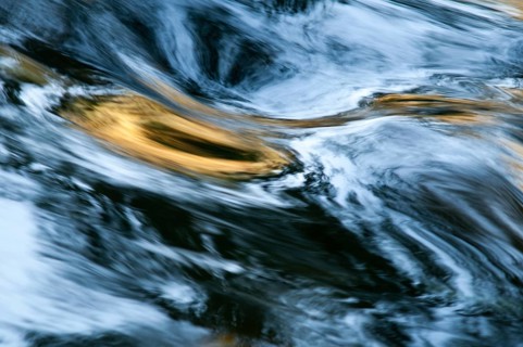 Atmosphere, autumn, detail, flowing water, river, autumn, landscape, river, mood, water