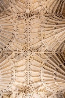 Spectacular fan-vaulting looking up at ceiling, Church of Saint Mary, Ottery St Mary, Devon,