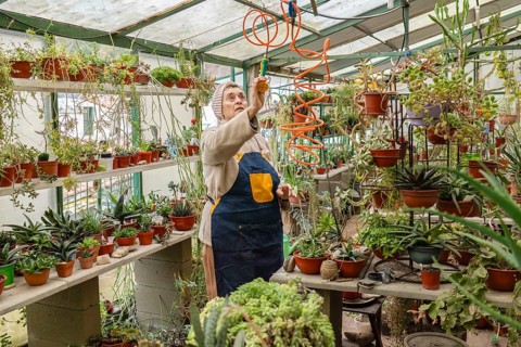 Older woman in pink knit headband and denim apron reaches up with both arms to connect a coiled