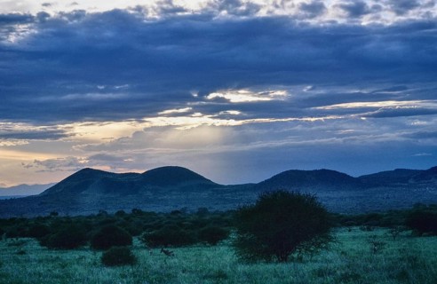 Wide savanna landscape in the Tsavo National Park with isolated trees and shrubs in the foreground.