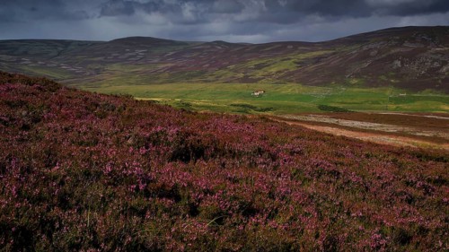 Europe, Scotland, Great Britain, England, landscape, CairnGorm Mountains, mountain group, Cairngorm
