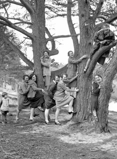 A group of woman pose with trees. Some climb the tree, funny, funny, historical, 1930s, exact