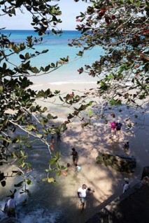 Dunn's River or river flows into the Caribbean Sea, Dunn's River Falls or Waterfalls, Ochos Rios,