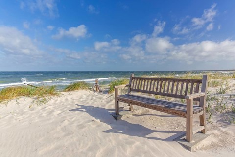 Public wooden bench in the dunes along the Baltic Sea on the Fischland-Darss-Zingst peninsula,