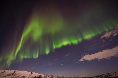 Northern Lights (Aurora borealis) and moonlight, Dundret Nature Reserve, Norrbotten, Lapland,